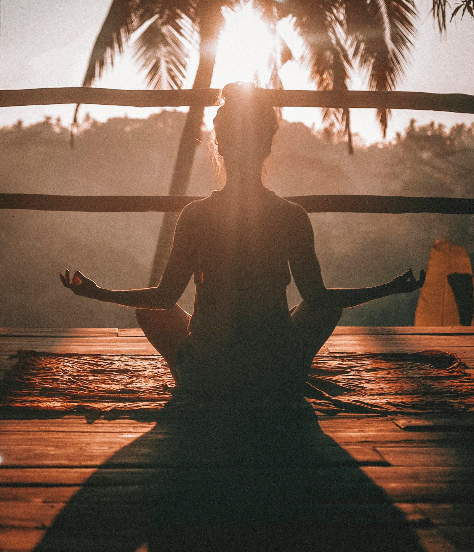 Physical recovery & gentle rehabilitation